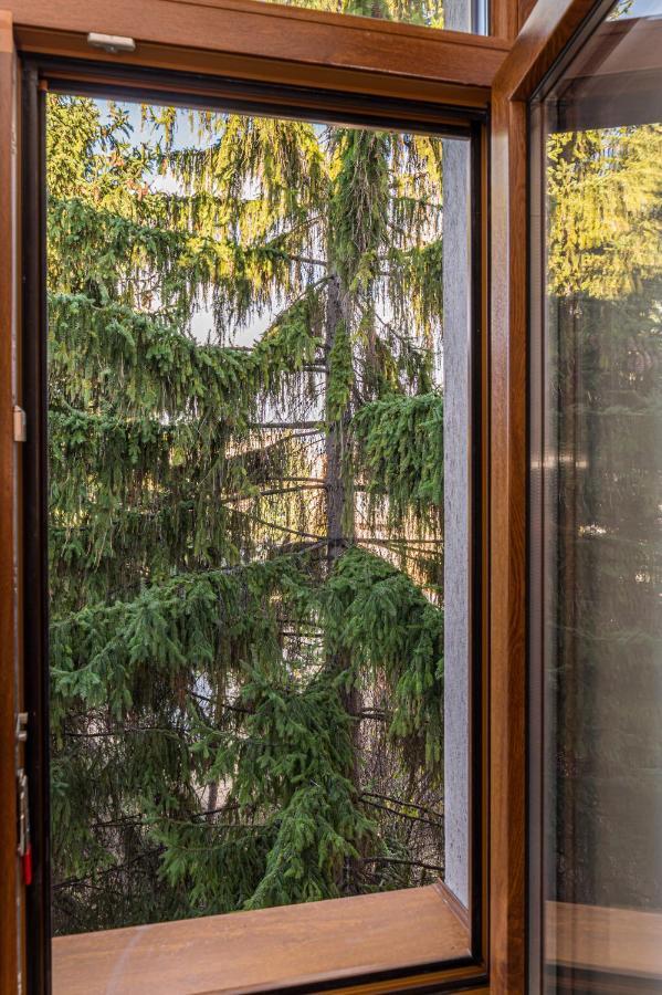 Chic&View Brasov Apartment Buitenkant foto