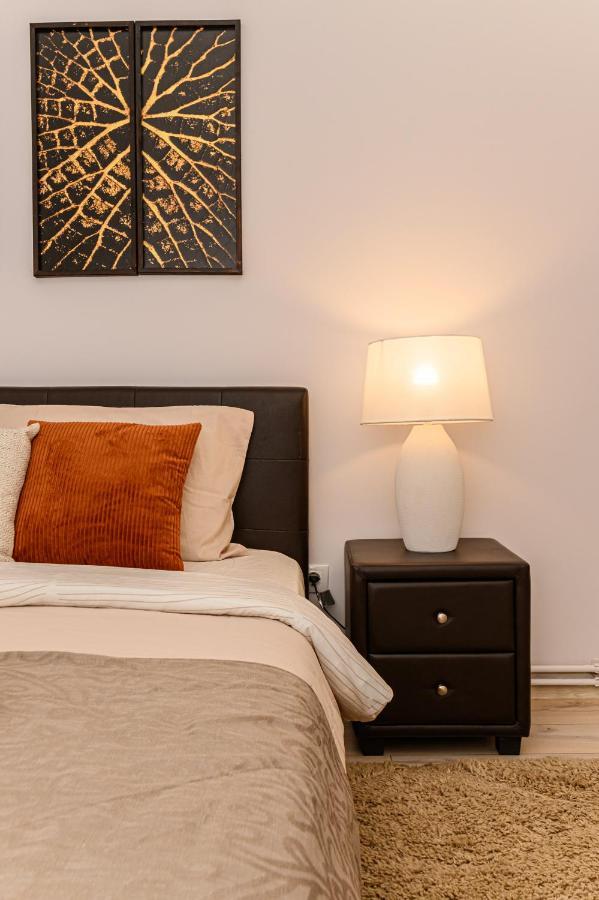 Chic&View Brasov Apartment Buitenkant foto